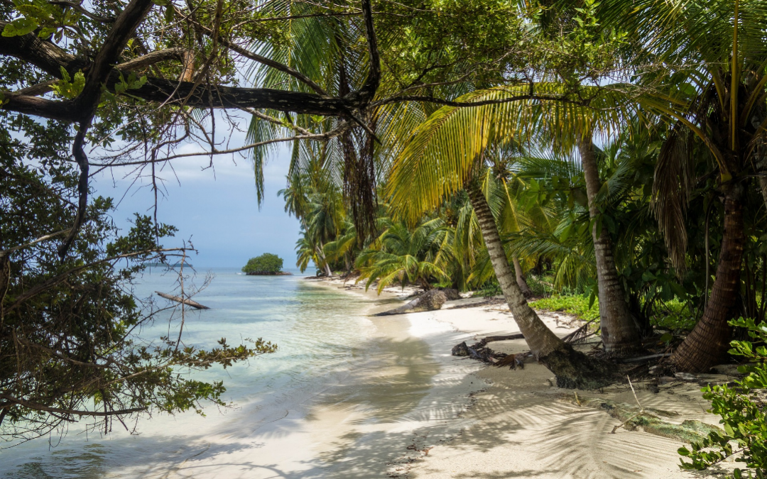 Pourquoi partir en voyage en Martinique ?